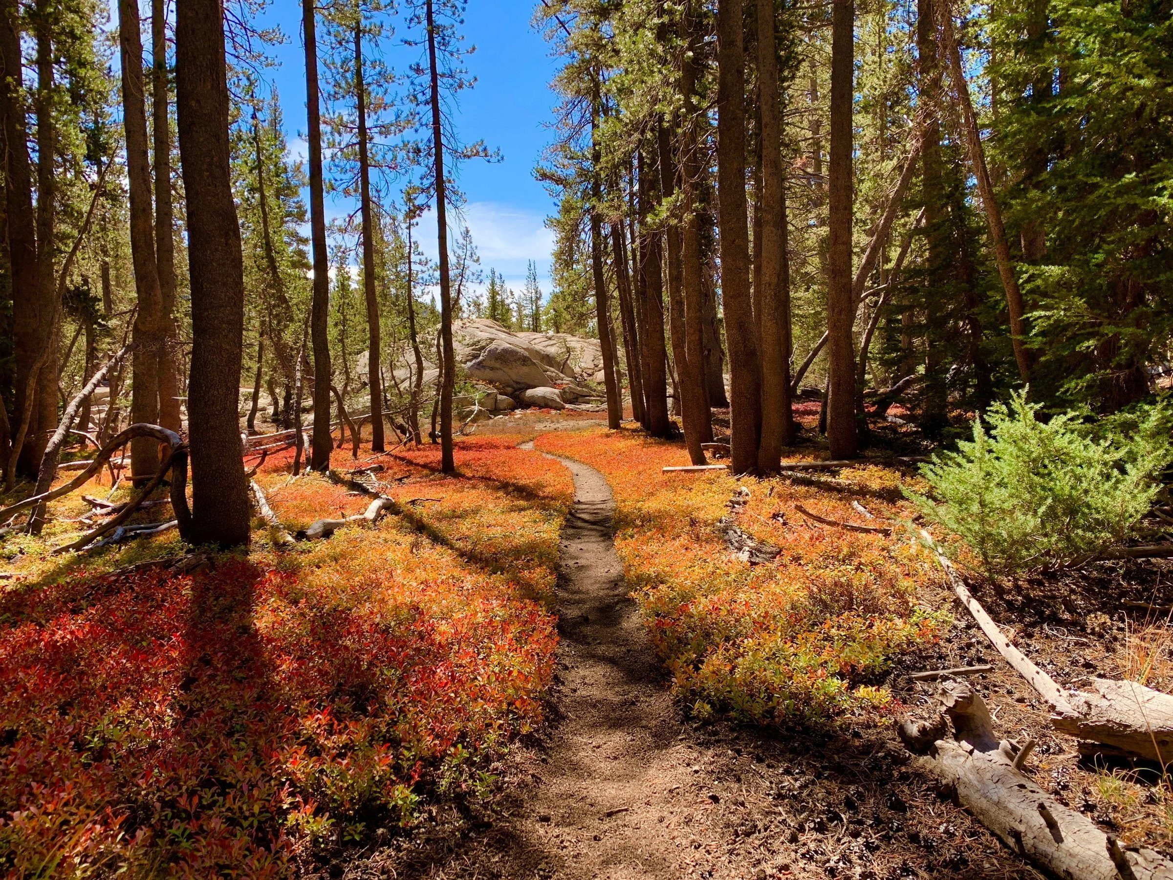 High mountain trail