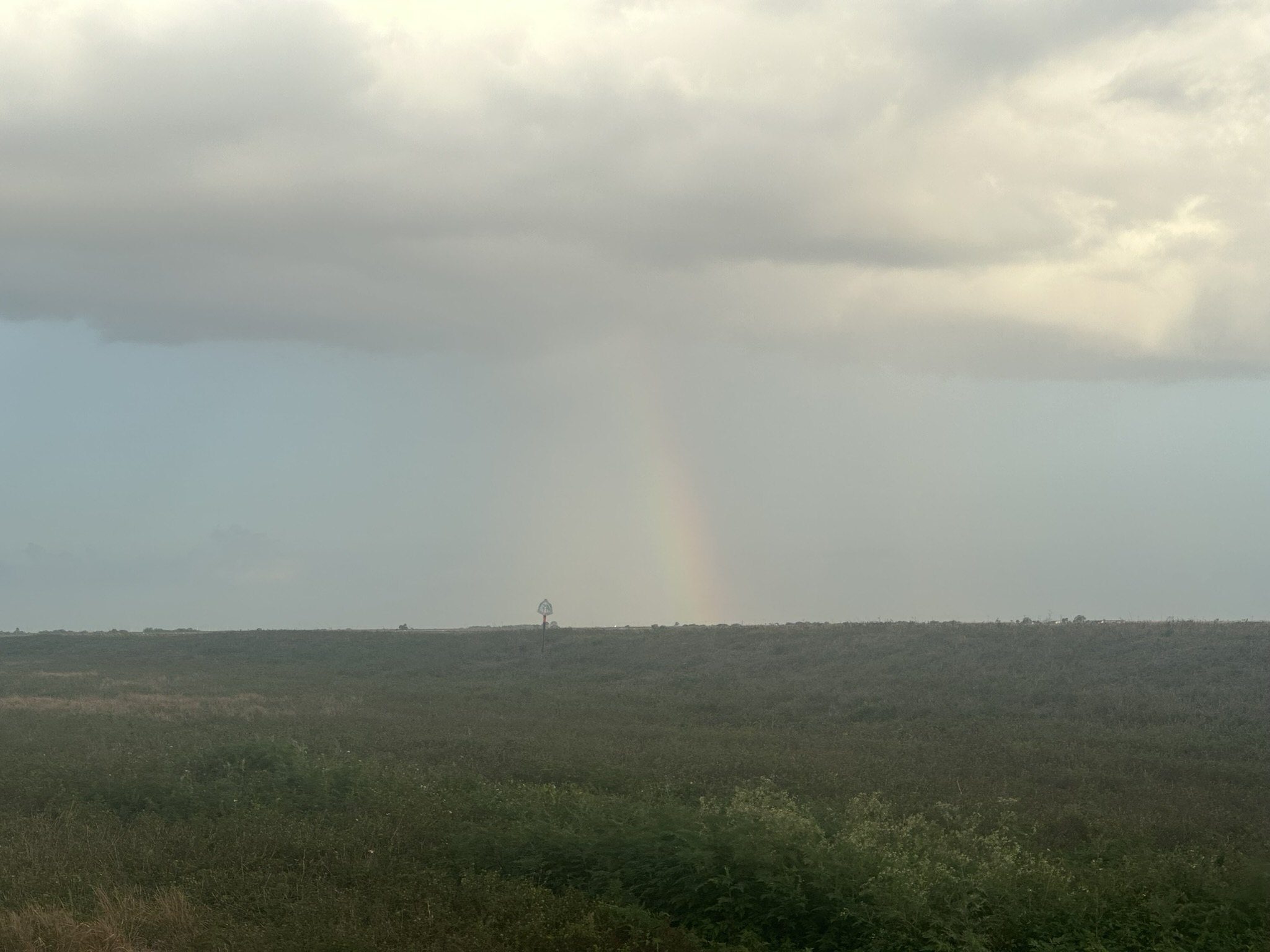 Rainbow over the Lake Okeechobee wetlands