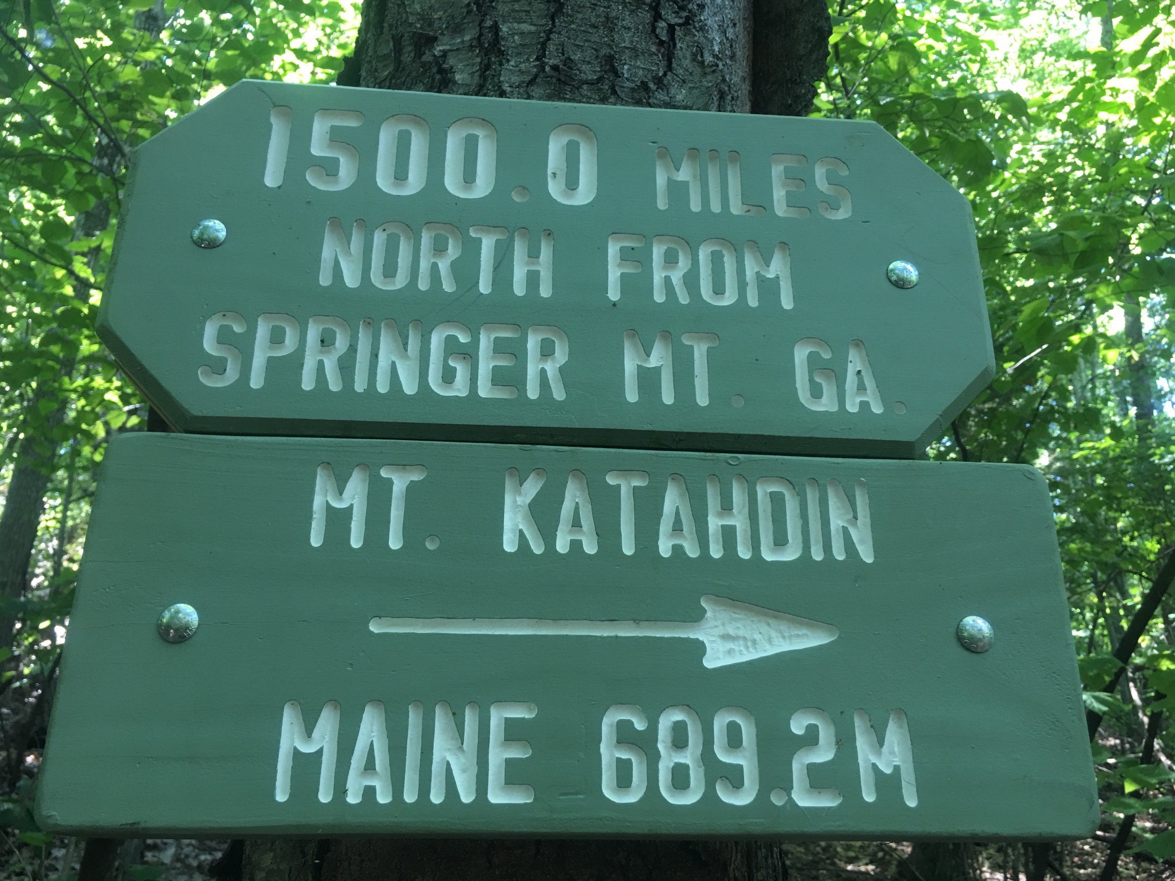 Green wooden mileage sign among trees