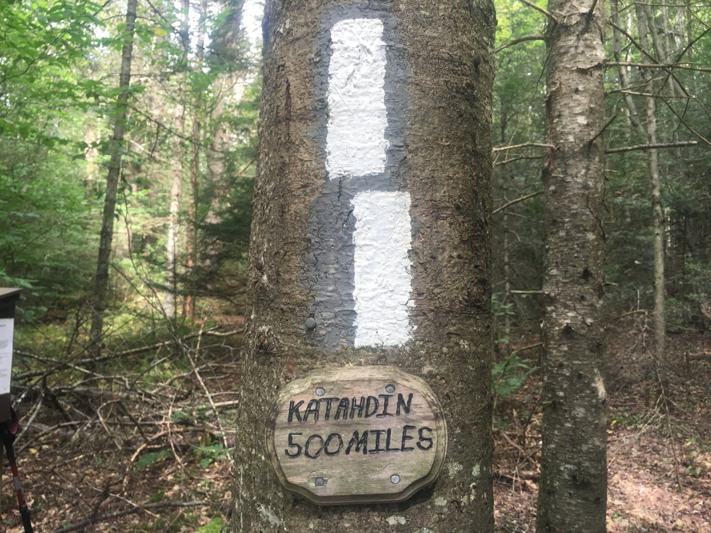 White trail blaze and mileage sign