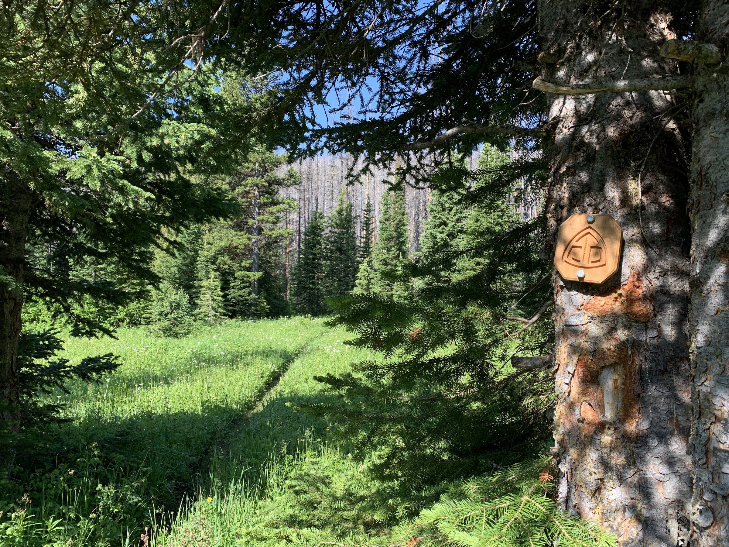 Trail blaze fixed to a tree