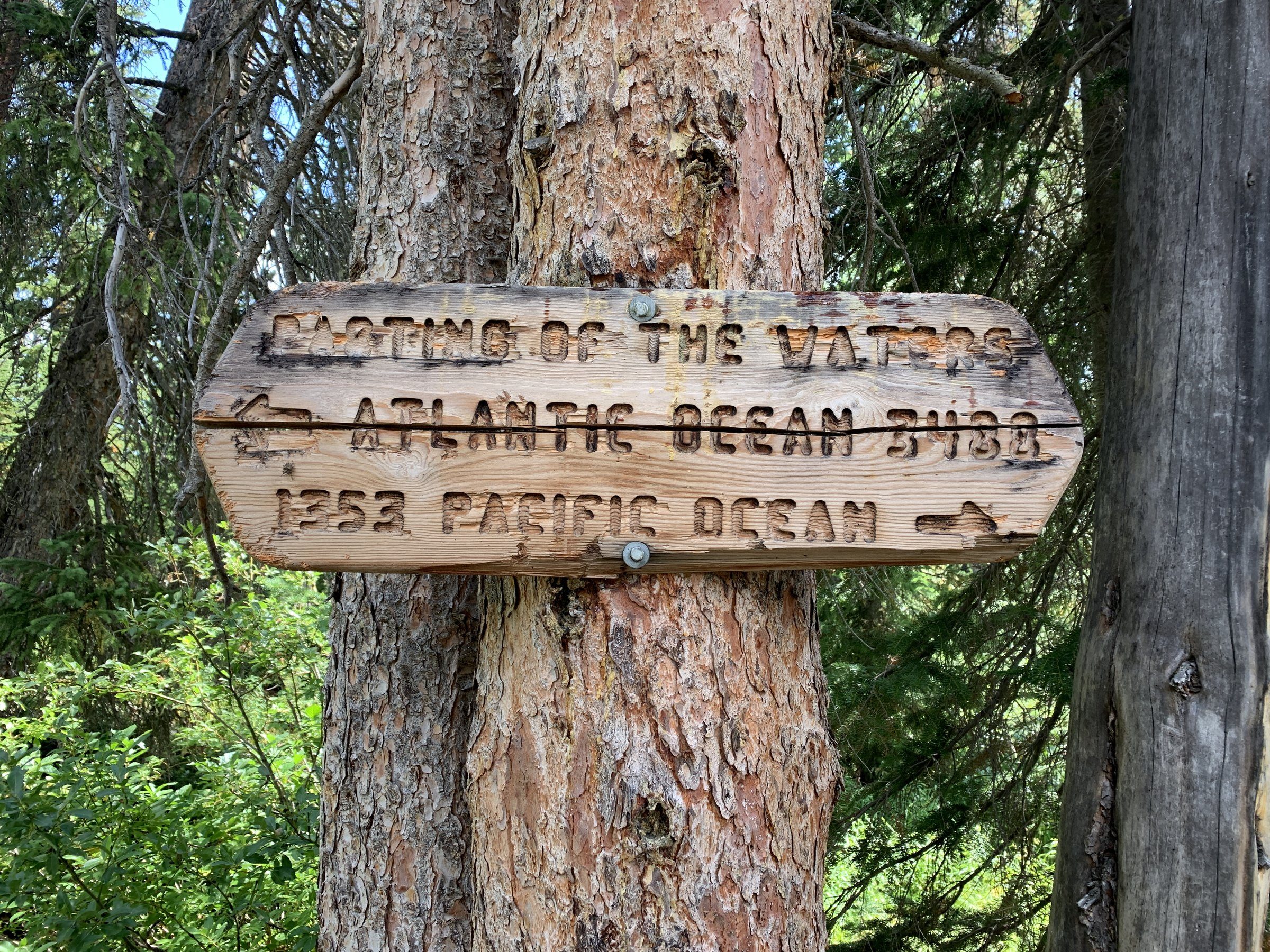 Wooden trail junction sign