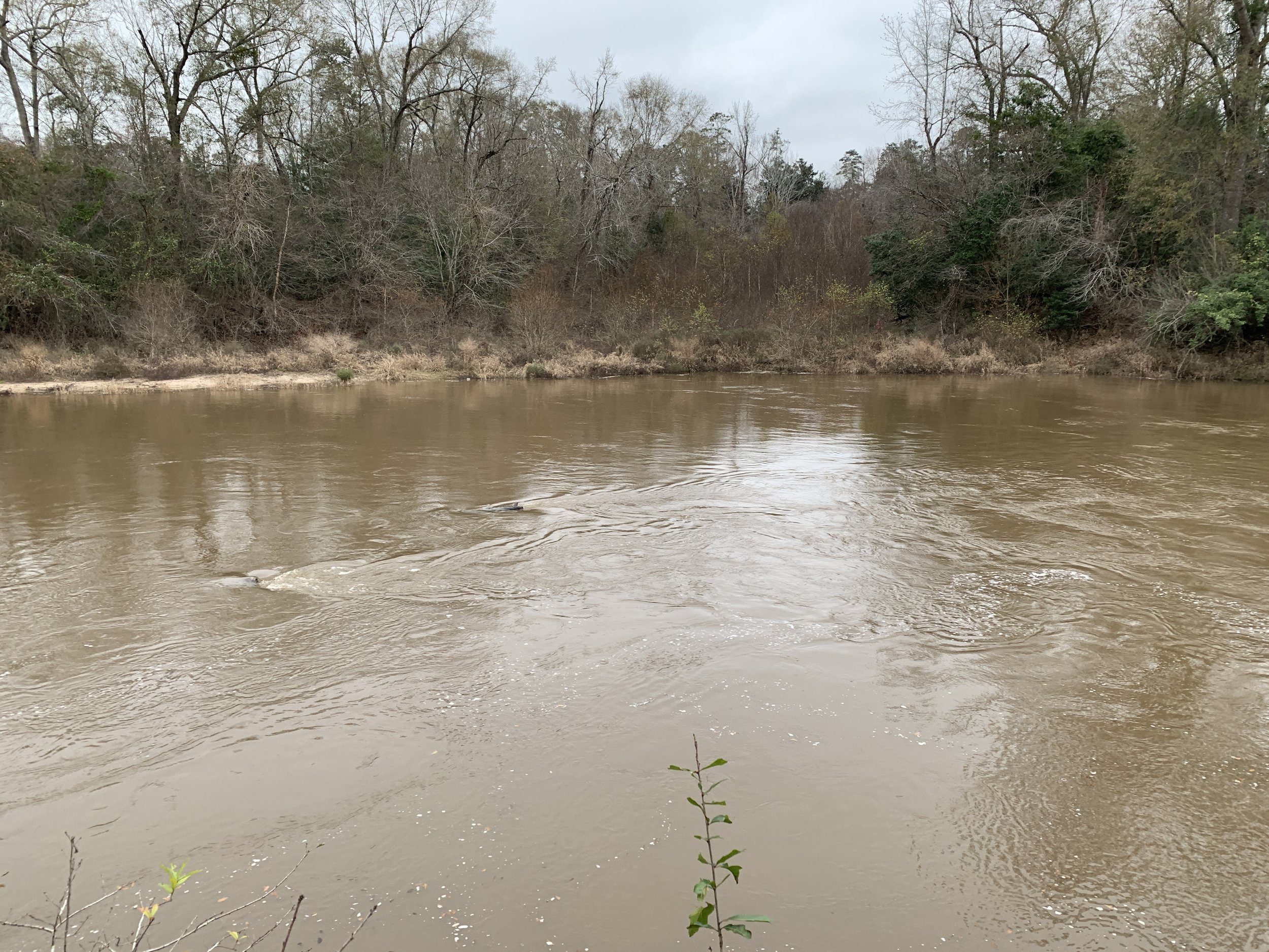 Flooded swollen river crossing in winter
