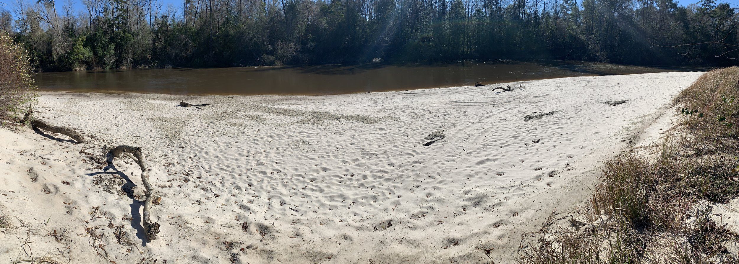 Expansive sandy riverbank along Black Creek